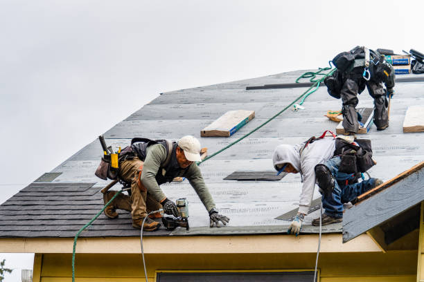 Professional Emergency Roof Repair technician working in Leland, IA